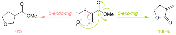 Baldwin规则对4-羟基-2-亚甲基丁酸甲酯关环反应的预测