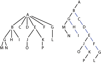 将n叉树变换为二叉树的例子