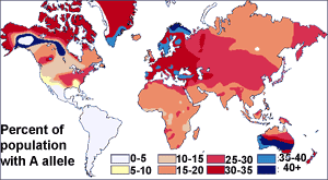 Multicolored world map