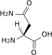 asparagine