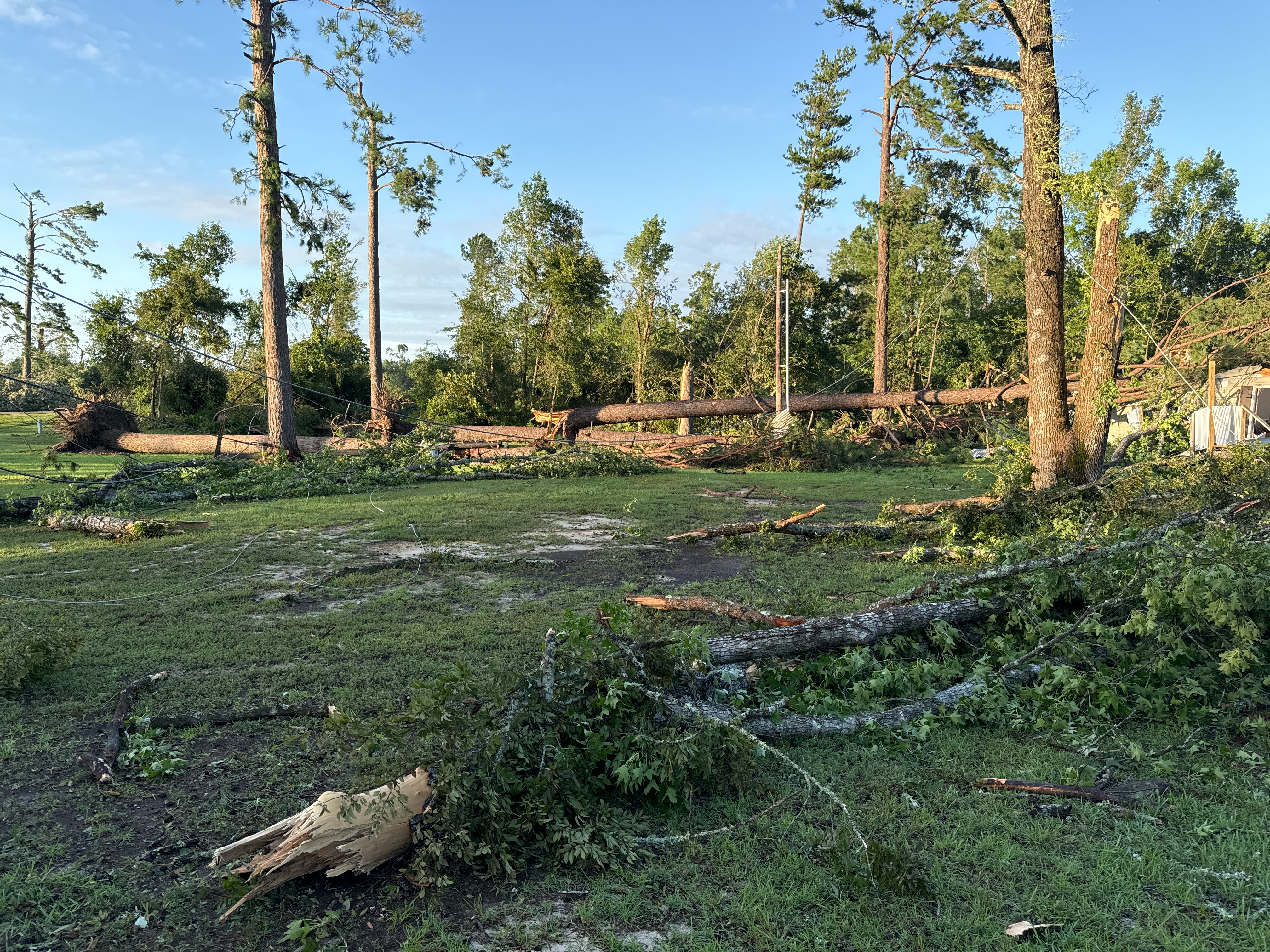 EF2 damage to trees and a destroyed mobile home on the southwest side of Jasper, Texas.