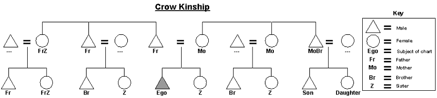 Crow-kinship-chart