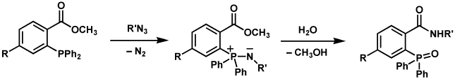 Staudinger ligation 例子