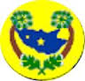 Official seal of Alto Santo