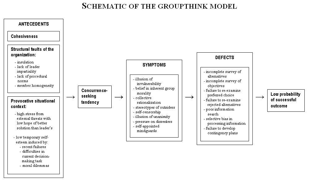 Groupthink schematic