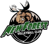 NF Volleyball Logo