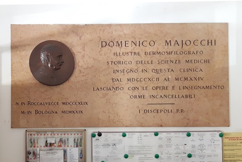 Domanico majocchi