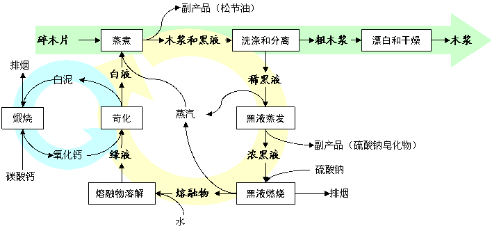 製漿和廢物回收工藝