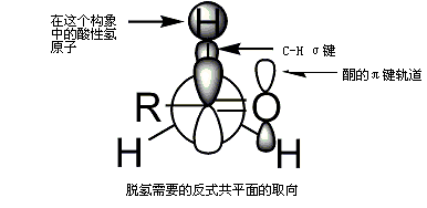 去质子化需要的反式共平面