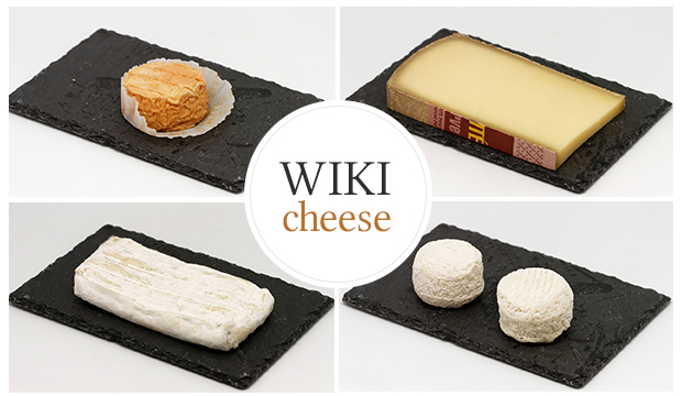 Wikimedia France launches Wikicheese, a crowdfunded project to provide high-quality illustrations for articles linked to cheese