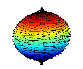 colored ball with "hair" (representing a vector field on a sphere)