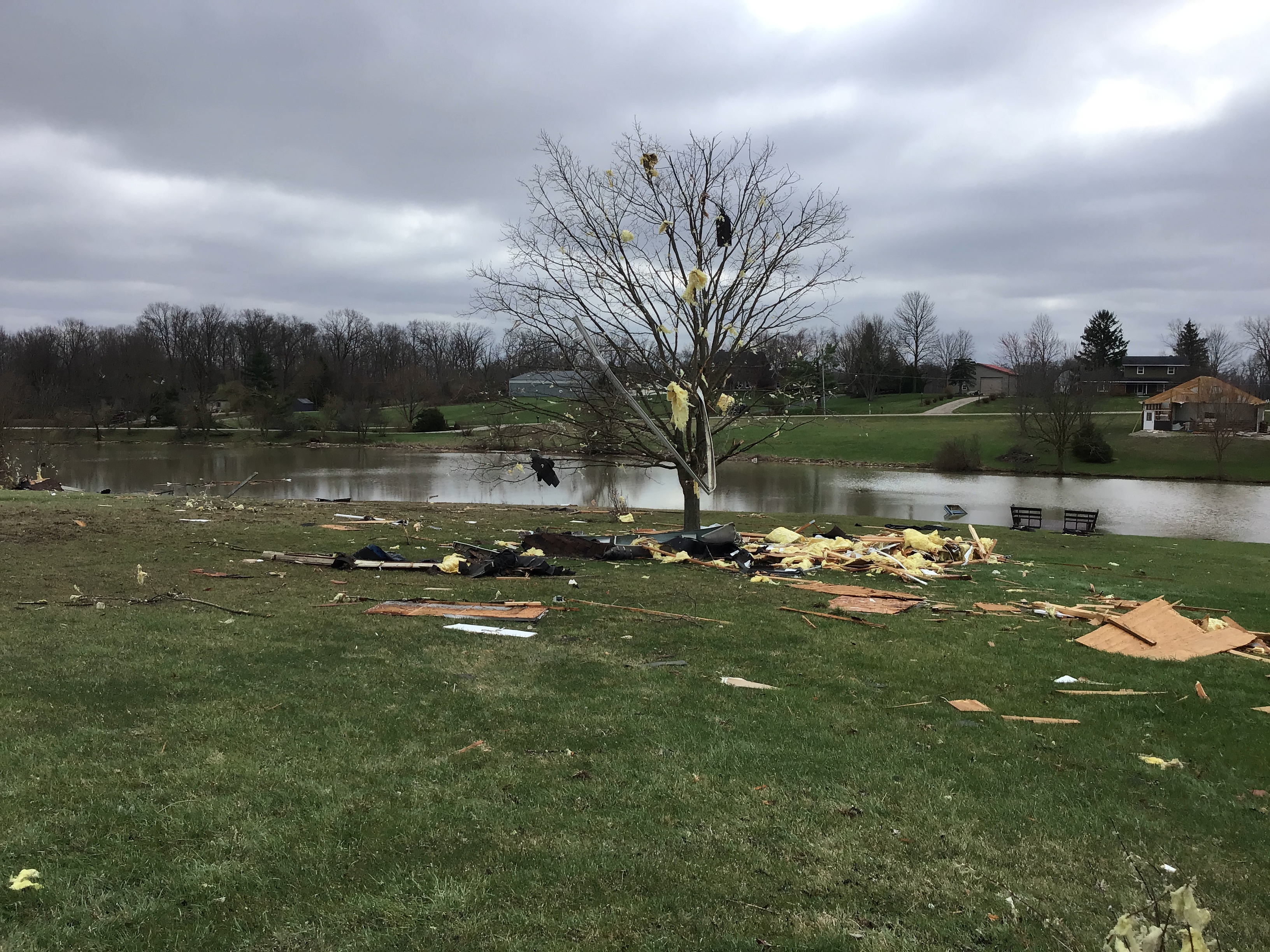 Debris strewn through trees in Newberry Township, Ohio.