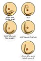 Arabic version - النسخة العربية