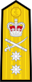 Barbados Coast Guard Rear Admiral shoulder boards