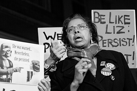 Dr. E. Faye Williams, National File:President-CEO of the National Congress of Black Women, speaking outside Mitch McConnell's house on Capitol Hill