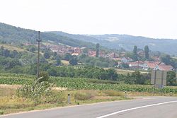 View of Kupuzište