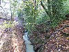 Netherside Stream Outcrops