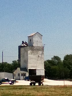 The Grain Elevator in Paloma