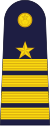 Group Captain