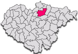 Location in Sălaj County