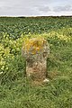 Fig. d32: the cross at Rospletha