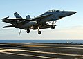 一架来自VFA-154的F/A-18F超级大黄蜂于2006年。