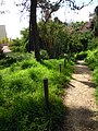 Looking south down the path that leads to the Praia dos Aveiros from the Beco Vasco da Gama.