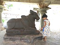 Nandi mantapa in Nageshvara temple. The Nageshvara temple complex photo is located in Begur, a small town within the Bangalore urban district of Karnataka state, India.
