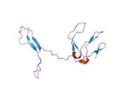 1zka: NF-kB RelB forms an intertwined homodimer, Y300S mutant