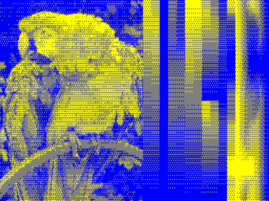 512 × 192 × 2 example image with blue & yellow palette