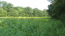 A field in northwestern Montgomery Township