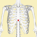Position of xiphoid process (shown in red)