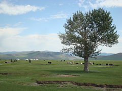 特爾赫查干湖（英語：Terkhiin Tsagaan Lake）附近的景觀 (2014年)