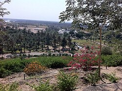 Photograph of rural landscape, taken from a hilltop