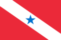 巴西帕拉州州旗