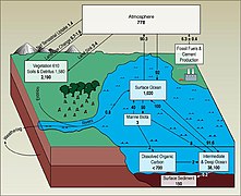 Carbon cycle flux