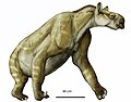 Chalicotherium brevirostris