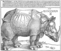 Albrecht Dürer's 1515 Rhinoceros woodcut