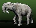 Deinotherium, Europe