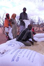 粮食计划署安排在肯尼亚瓦吉尔郡进行分发物资