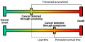 Illustration of lead time bias.