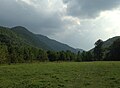 Bottomland in the lower Canyon (looking upstream)