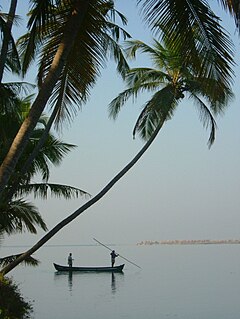 Fishing in Mukkah, near Mangalore.