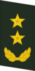 中将