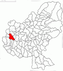 Location in Mureș County