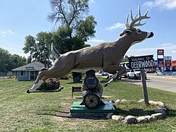 A deer statue welcomes visitors in Deerwood, Minnesota