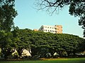 中原大学校园