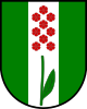 Coat of arms of Bílichov