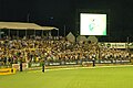 cup snake at the WACA