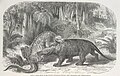 File:Dinosaurs fighting - The World before the Deluge (1865), plate XXI - BL.jpg